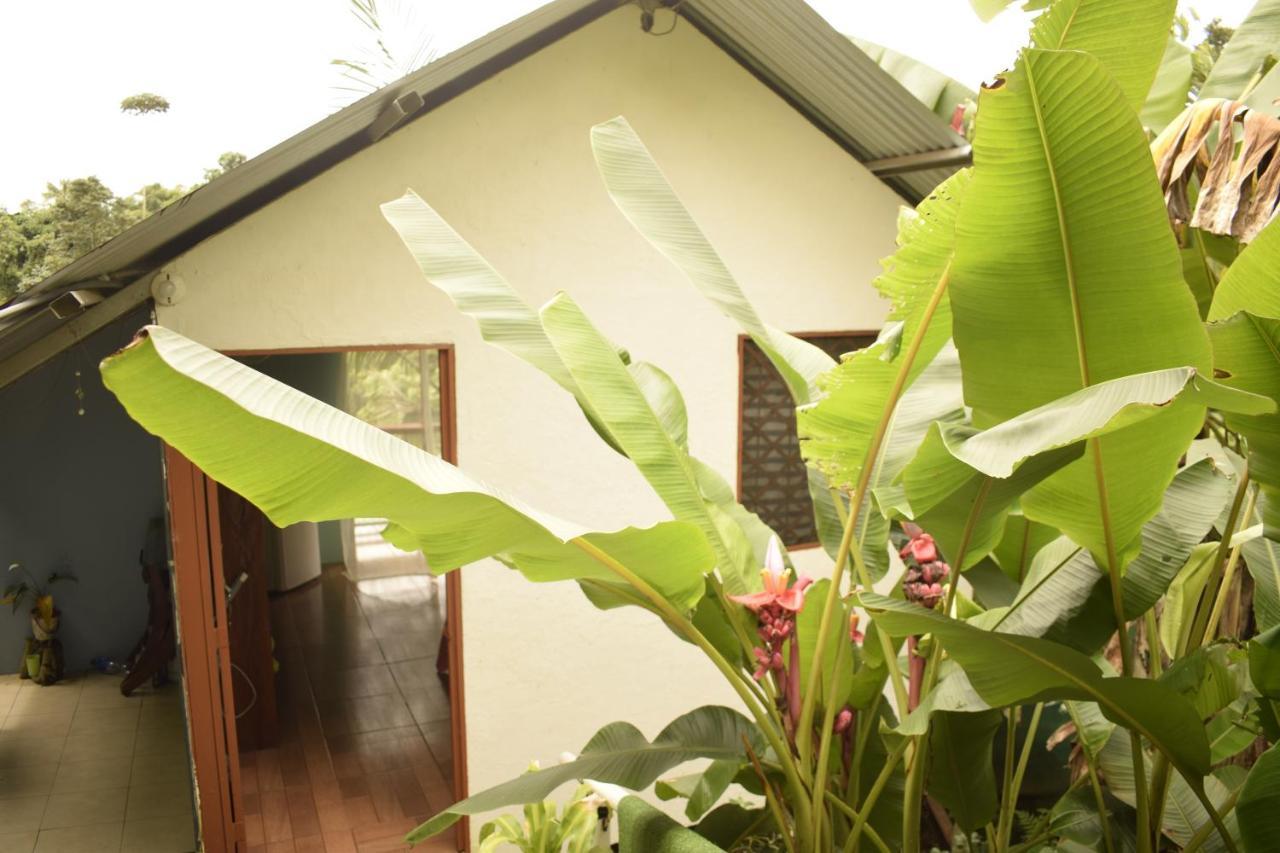 Appartamento Casita Tangara Con Balcon Y Agua Caliente Drakes Bay Esterno foto