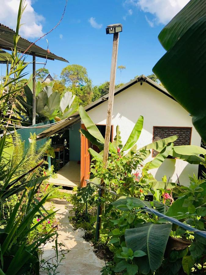 Appartamento Casita Tangara Con Balcon Y Agua Caliente Drakes Bay Esterno foto